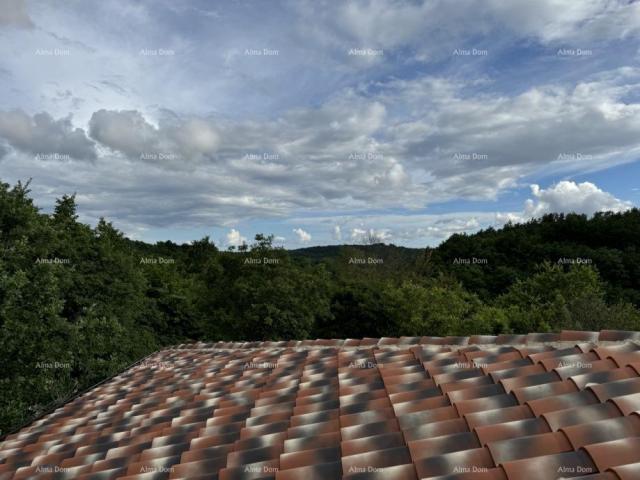 Kuća Prodaje se prekrasna stancija, okružena šumom i vinogradima, s pogledom na Gračišće i Učku!