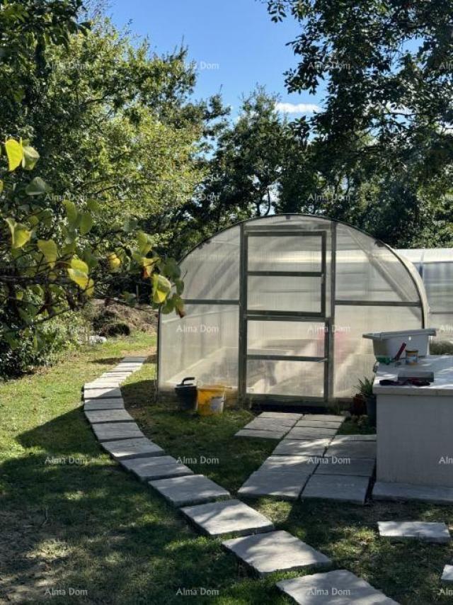 Kuća Prodaje se prekrasna stancija, okružena šumom i vinogradima, s pogledom na Gračišće i Učku!
