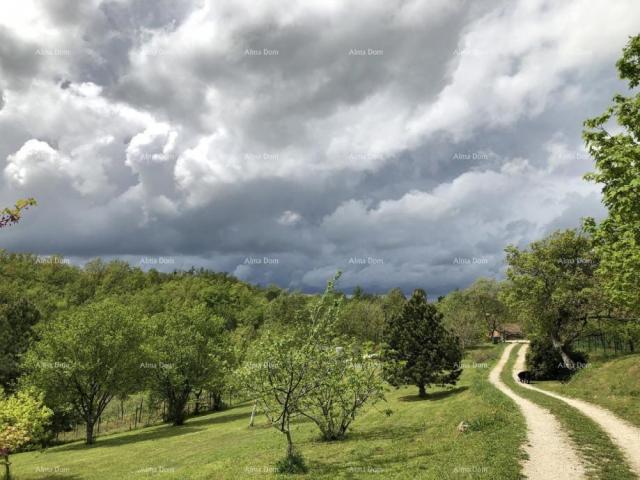 Kuća Prodaje se prekrasna stancija, okružena šumom i vinogradima, s pogledom na Gračišće i Učku!