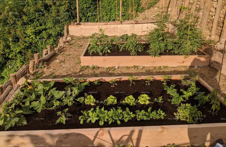 Kuća Prekrasna renovirana kuća s  pogledom i poslovnim prostorom