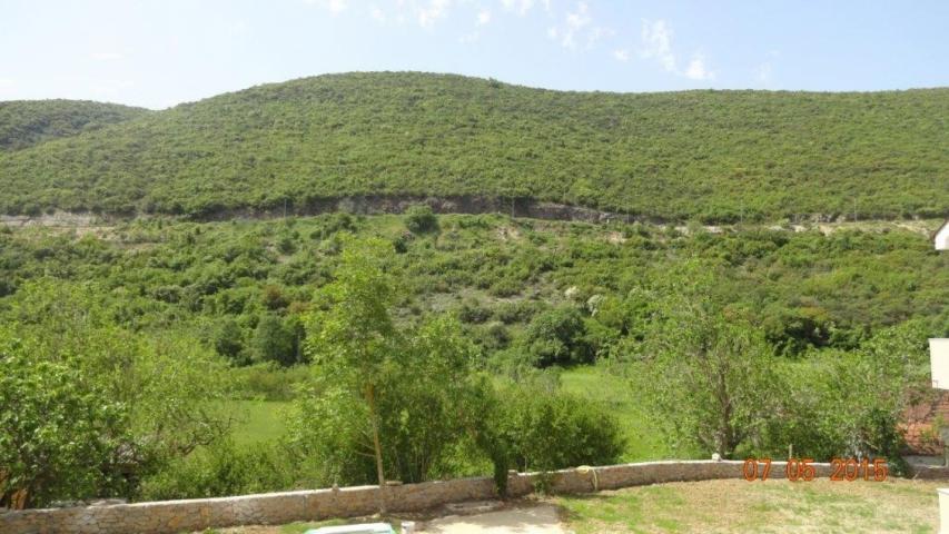 Neuseljivana kuca 