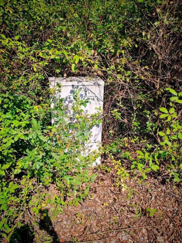 Građevinsko zemljište Istra, Kršan, prodajemo dva građevinska zemljišta sa dozvolama. 