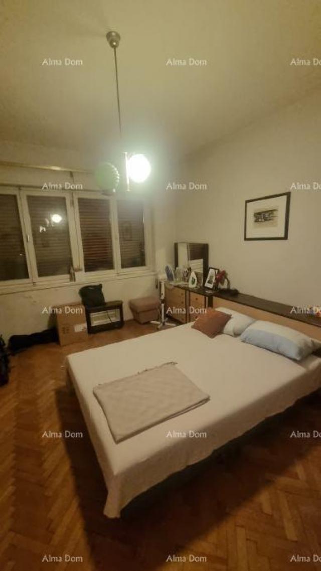 Apartment The title