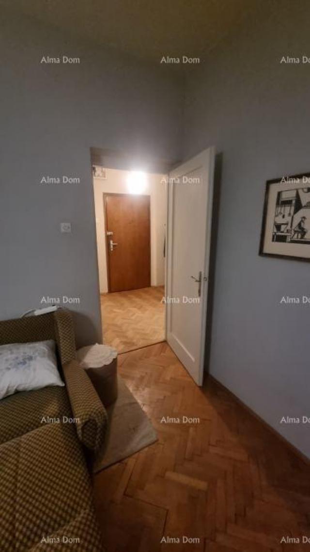 Apartment The title