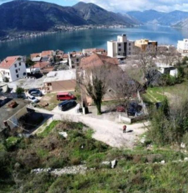 Plac u zalivu 