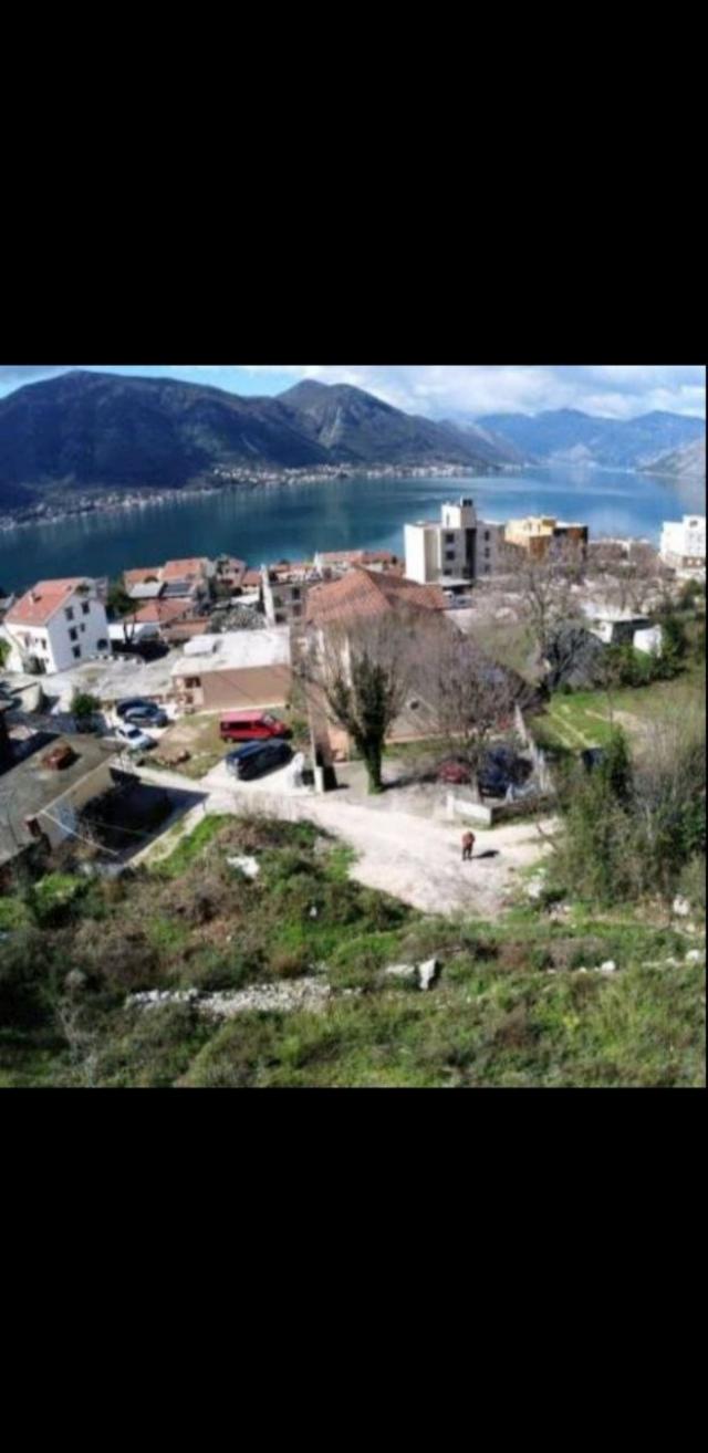 Plac u zalivu 