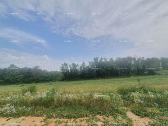 Bauland VIŠNJAN – ATTRAKTIVES BAULAND MIT AUSSICHT, 2.588 m²