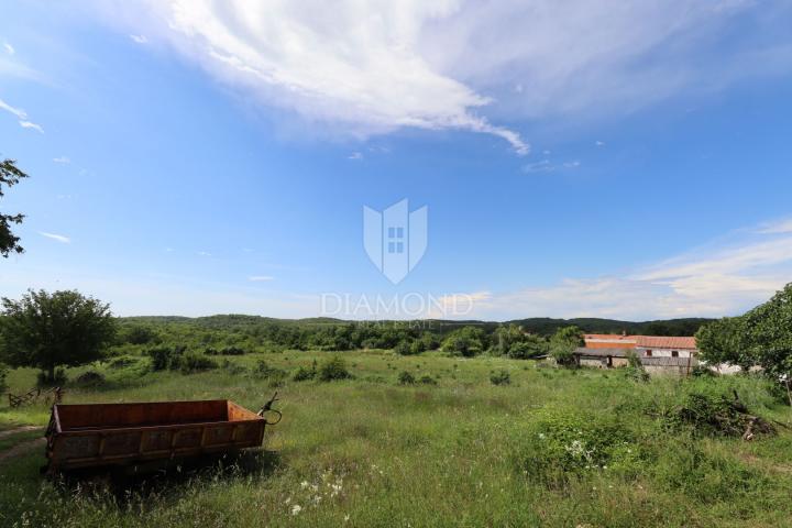 Istra, Bale, atraktivno građevinsko zemljište na rubu sela