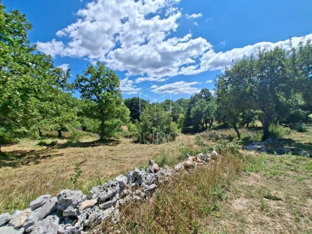 Istra, Krmed – Građevinsko zemljište u mirnom dijelu prirode