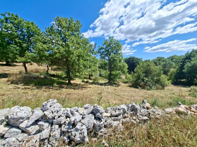 Istra, Krmed – Građevinsko zemljište u mirnom dijelu prirode