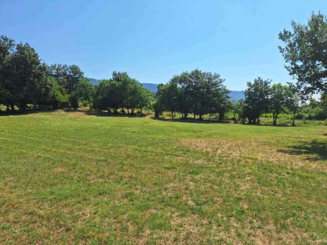 Plac 4751 m² na Prodaju – Martinići, Danilovgrad
