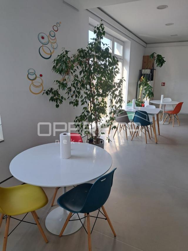 Najam, Ured, Dugave, Kamenarka, 150m2