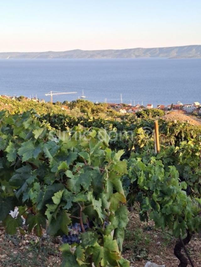 Poljoprivredno zemljište s kućicom i otvorenim pogledom, Brač