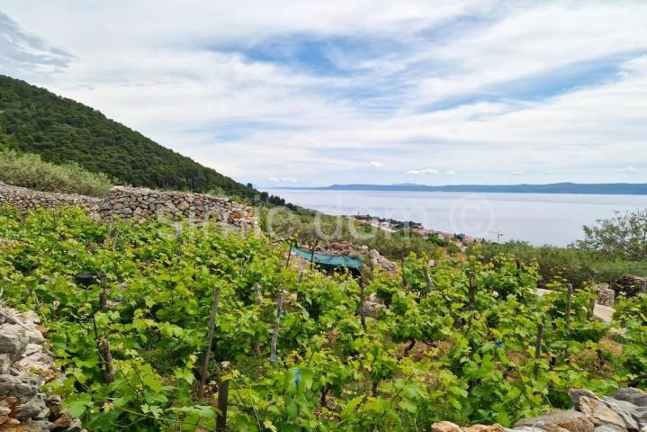 Poljoprivredno zemljište s kućicom i otvorenim pogledom, Brač