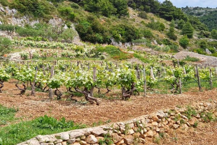 Poljoprivredno zemljište s kućicom i otvorenim pogledom, Brač