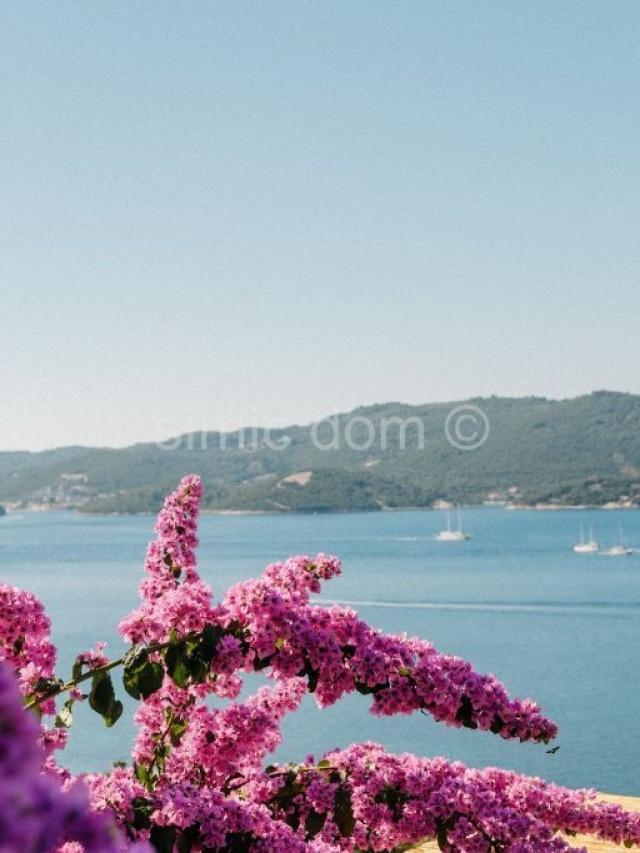 Tradicionalna kuća s pogledom, Pelješac
