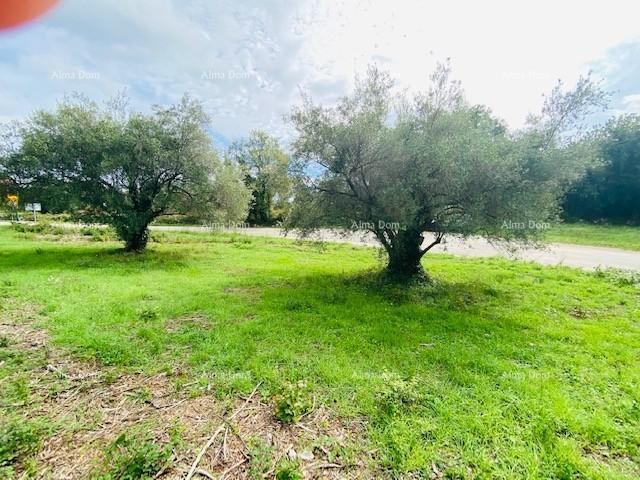 Building land Building plot, near Krnica!