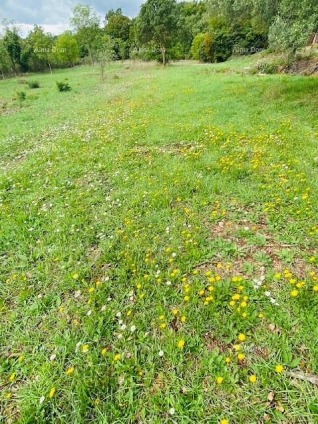 Building land Building plot, near Krnica!
