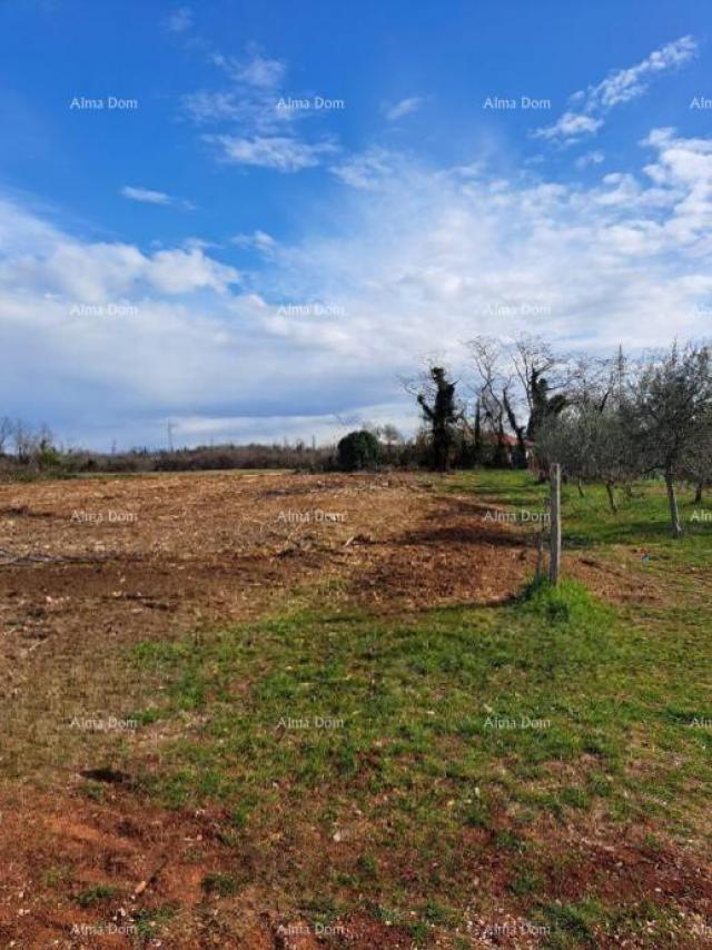 Building land Attractive construction land for building a residential building, Umag – 500 m from th