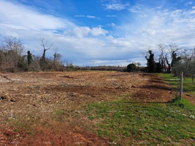 Building land Attractive construction land for building a residential building, Umag – 500 m from th