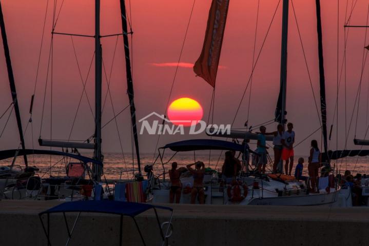 Prvi red otok Premuda rijetkost na tržištu