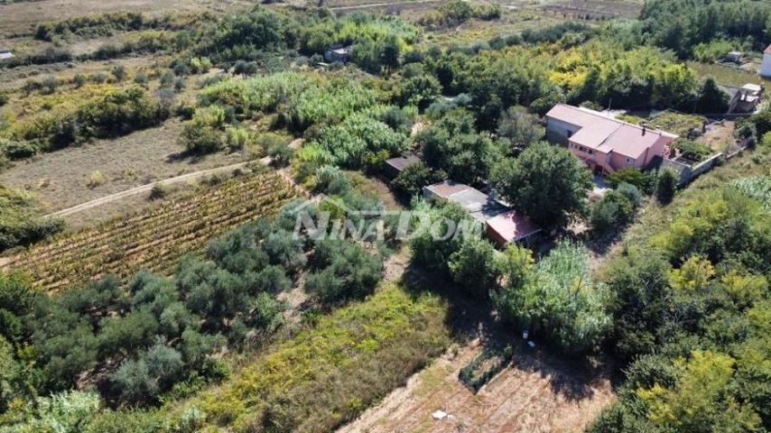 Obiteljska nekretnina s lijepim maslinikom i vinogradom