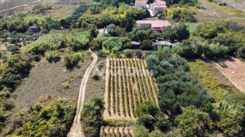 Obiteljska nekretnina s lijepim maslinikom i vinogradom