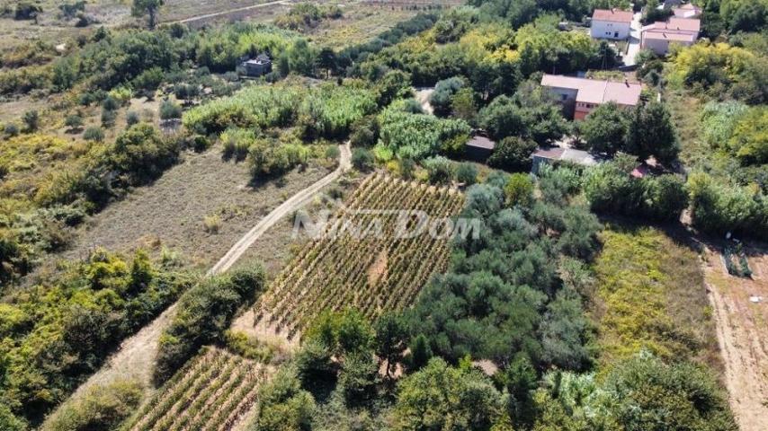 Obiteljska nekretnina s lijepim maslinikom i vinogradom