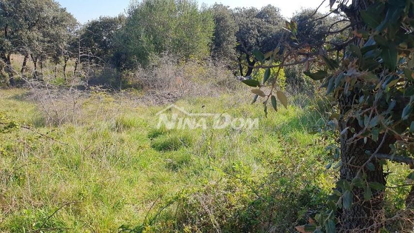 Izgrađeni dio građevinske zone