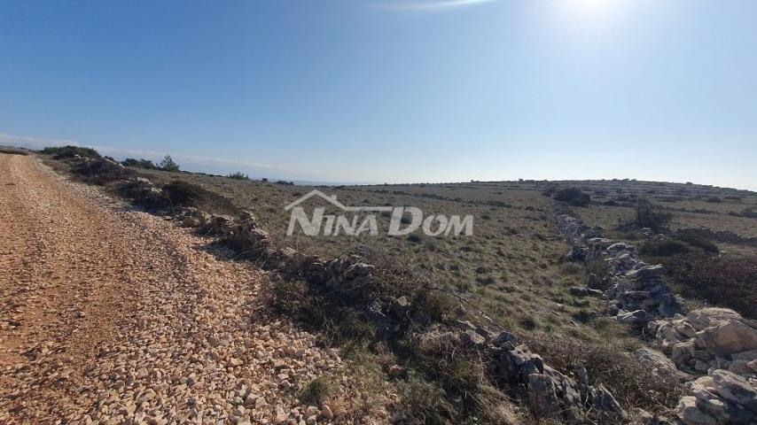 Poljoprivredno zemljište Barbenjak 12745 m2
