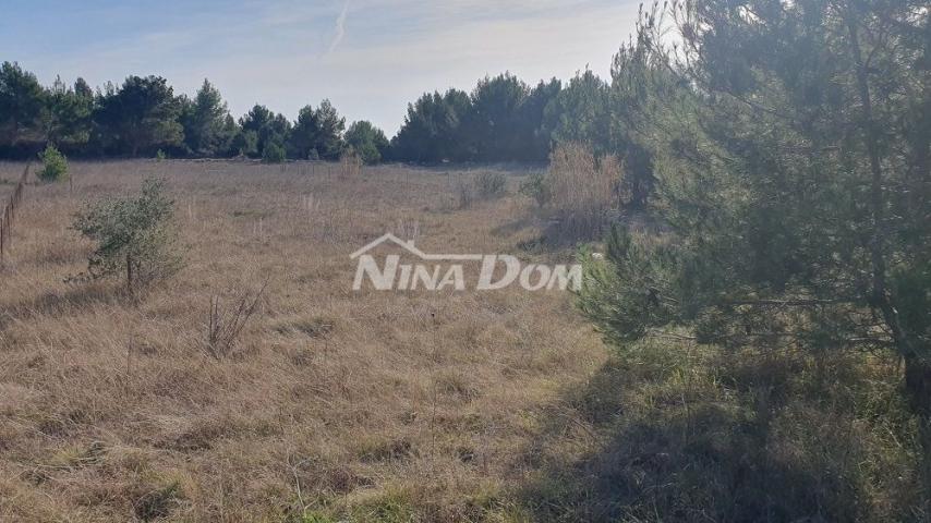 Obradivo zemljište s dva pristupna puta