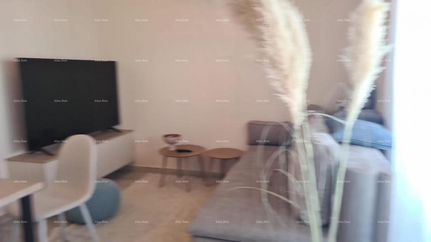 Stan Moderan apartman u bloku E, s parkirnim mjestom i spremištem blizina Umaga!
