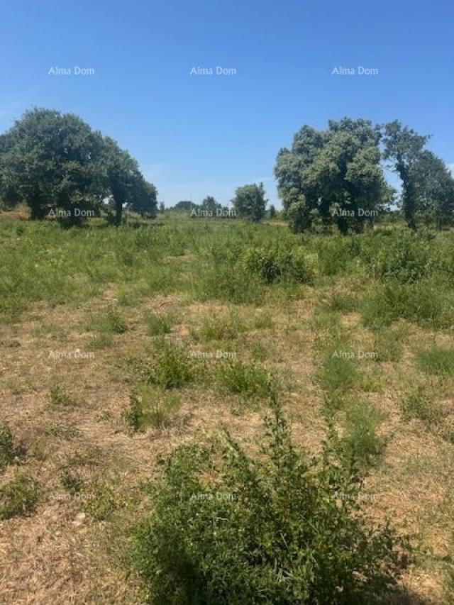 Građevinsko zemljište Zemljište od 4000 m² u Ližnjanu, T2 zona