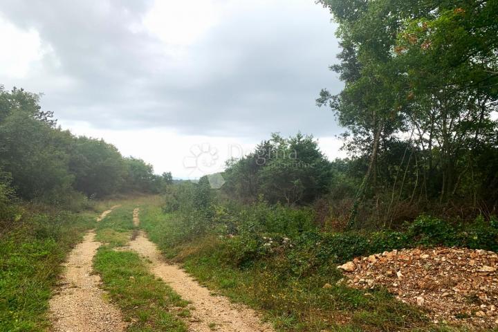 RAKALJ – parcela s dozvolom, pogled na more