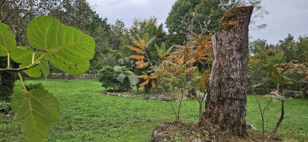 Ekskluzivno Kuća na osami, okružena šumom