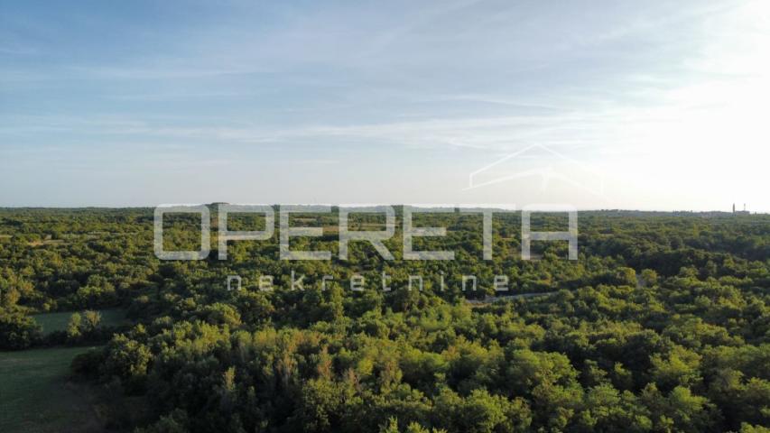Vodnjan, Vodnjan, 916,00 m2, 175.000,00 EUR