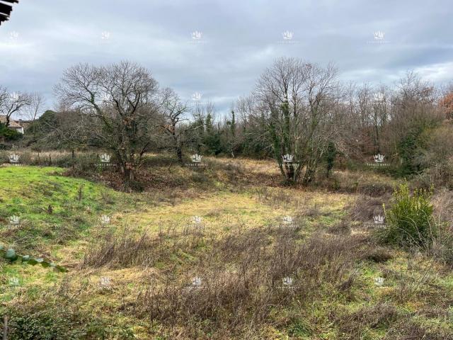 Istra, Karojba, OPPORTUNITÉ terrain constructible 600m2