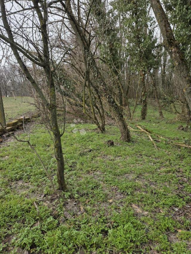 HITNO! Zemljište Kraljevo brdo, Dalj planina