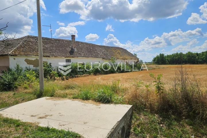 Branjina, imanje na parceli od 7658 m²