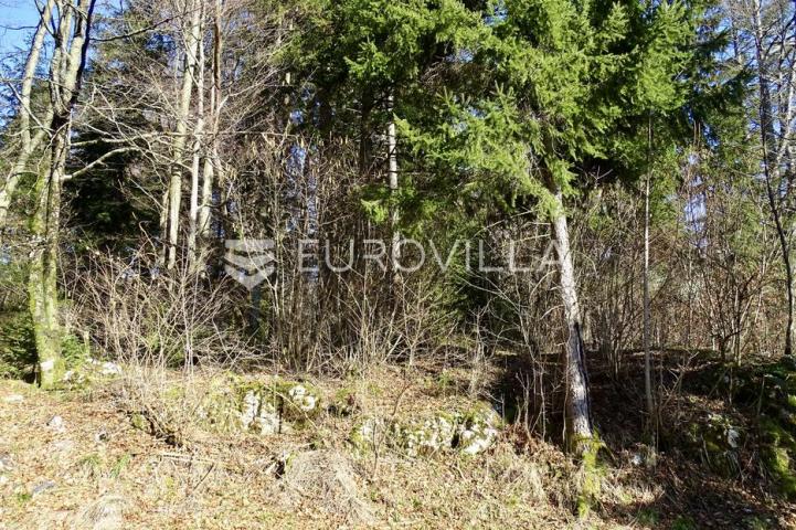 Delnice, Lučice, atraktivan građevni teren površine 6.919 m²
