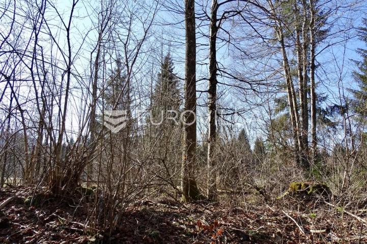Delnice, Lučice, atraktivan građevni teren površine 6.919 m²