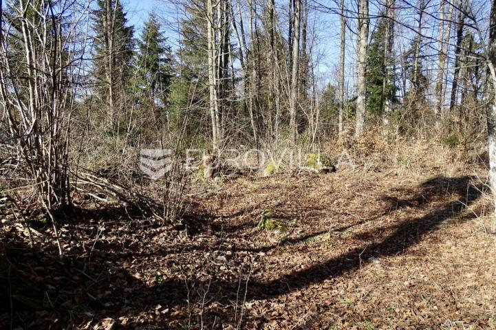 Delnice, Lučice, atraktivan građevni teren površine 6.919 m²
