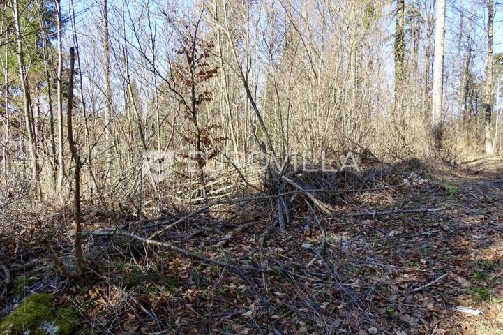 Delnice, Lučice, atraktivan građevni teren površine 6.919 m²