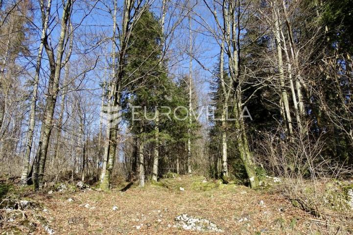 Delnice, Lučice, atraktivan građevni teren površine 6.919 m²