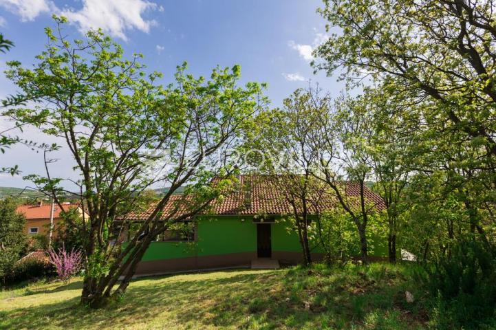 Cernik, Čavle, adaptirana kuća od 288 m² s 3448 m² terena