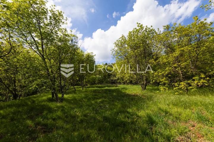 Cernik, Čavle, adaptirana kuća od 288 m² s 3448 m² terena