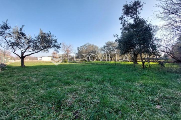 Istra, Vodnjan, građevinsko zemljište 746 m²