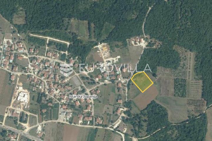 Istra, Poreč, Veliko zemljište od 24.940 m² s maslinikom i investicijskim potencijalom