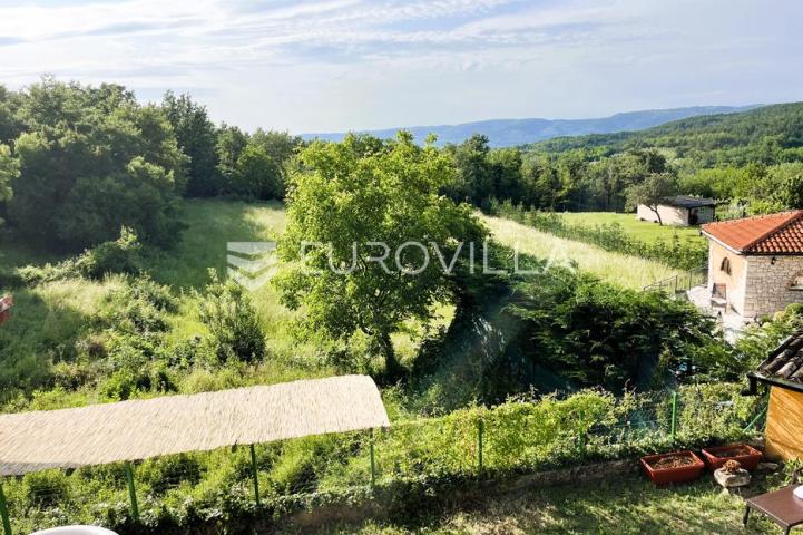 Istra, Motovun, prekrasna kuća sa dva stana i konobom