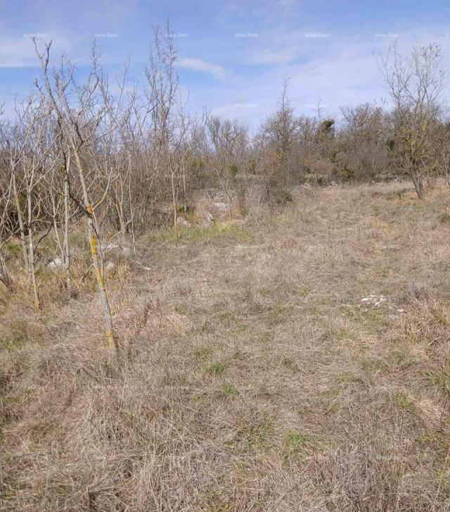 Building land SALE OF CONSTRUCTION LAND, 6,230 m² – PLOVANIJA (BUJE)